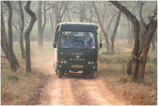 tadoba van