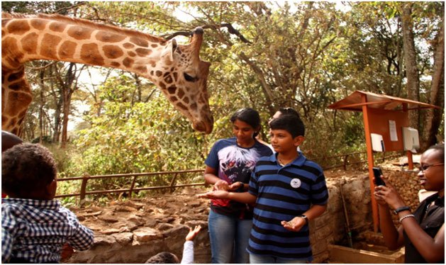 Giraffe Rescue Center