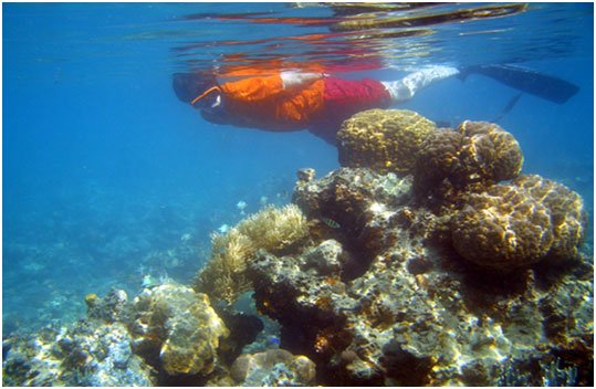 SNORKELLING